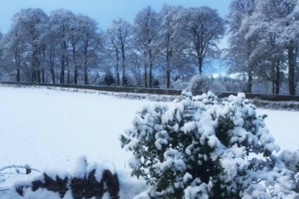 Tomax Garden Cabin Free Parking Inverness Dış mekan fotoğraf